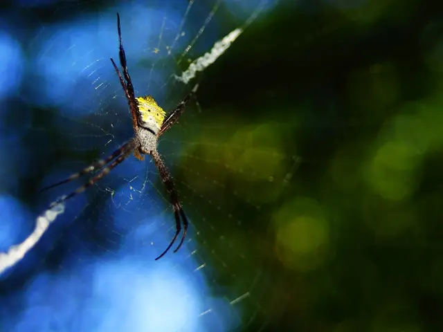 Interpreting the Symbolism of Nocturnal Visions