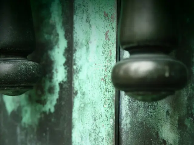 Unauthorized Access Granted: Manipulating Door Locks through Utilization of Pen Springs