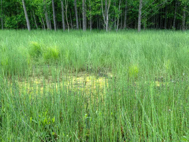 Update from the UK Farm to Fork Conference led by Rishi Sunak