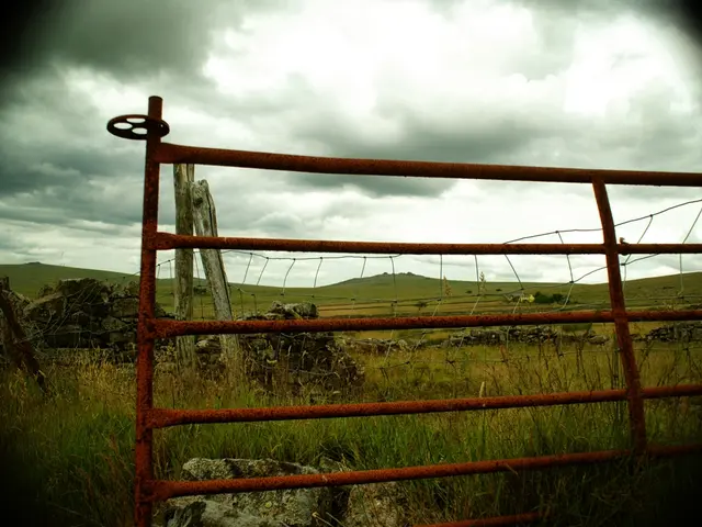 Preserving a Cedar Roof Demands Frequent Check-ups