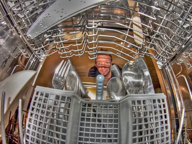 Common Issues Experiencing Dishwashers and How to Diagnose and Fix Them