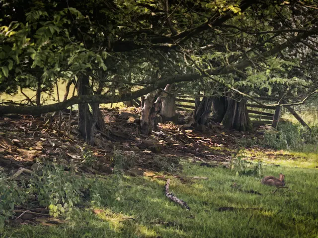 Preparing Your Garden for Winter Using Burlap Cloth