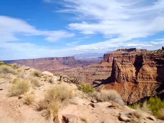 Thousands of hay shelters in Murgtal have collapsed following the discontinuation of livestock...