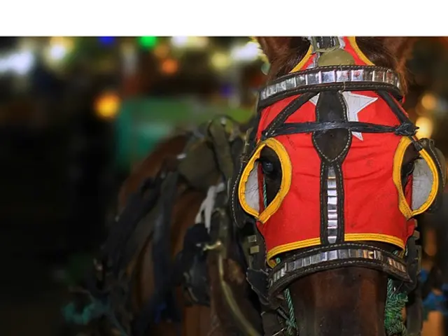 Residing in Neuwied: What's Our Plan?