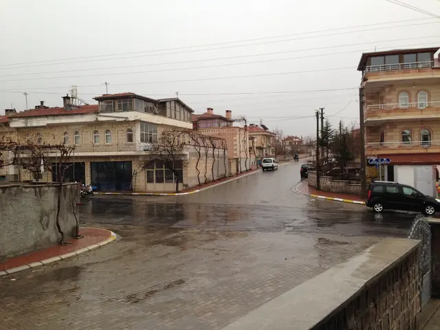 Purchased a Polestar 4 after experiencing its charm in a loan