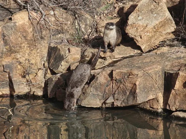 Nature Stroll through Wildlife Areas