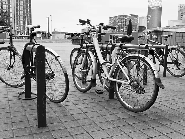 Peddling a Cycling Vehicle at Auction