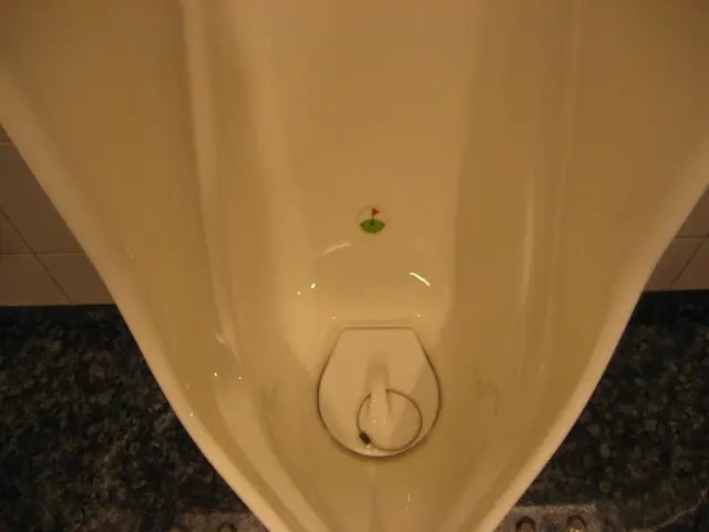 Eliminating Persistent Urine Smells at Home Using Easy DIY Solutions - Best Practices Revealed