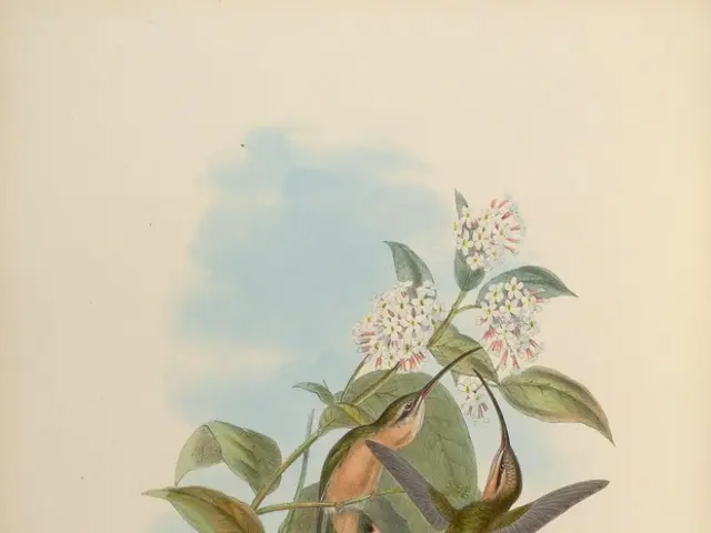 Occitania's Designer, Clémentine Chambon, Focuses on Preserving the Region's Heritage Landscapes