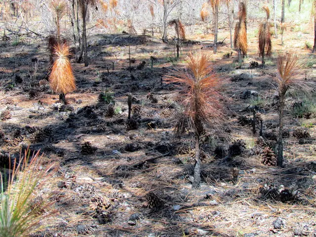 Importance of Indigenous Flora in Re-establishing Diversity Among Species