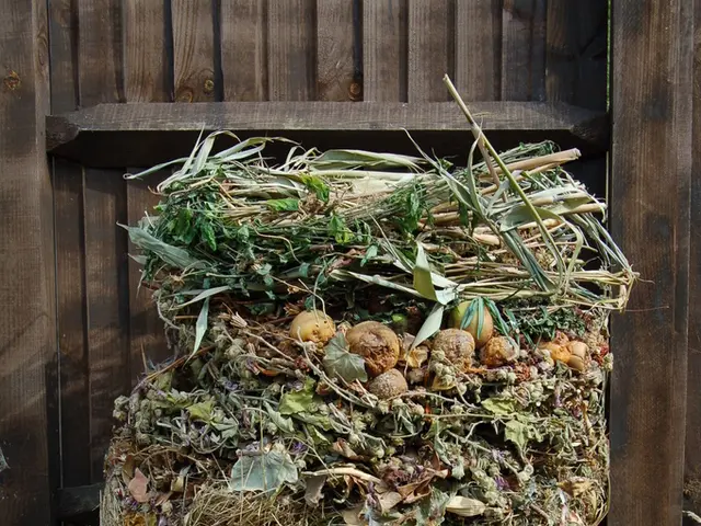 Replacing Store-Bought Fertilizer: Discover Two Homegrown Alternatives That Won't Leave Your Garden...