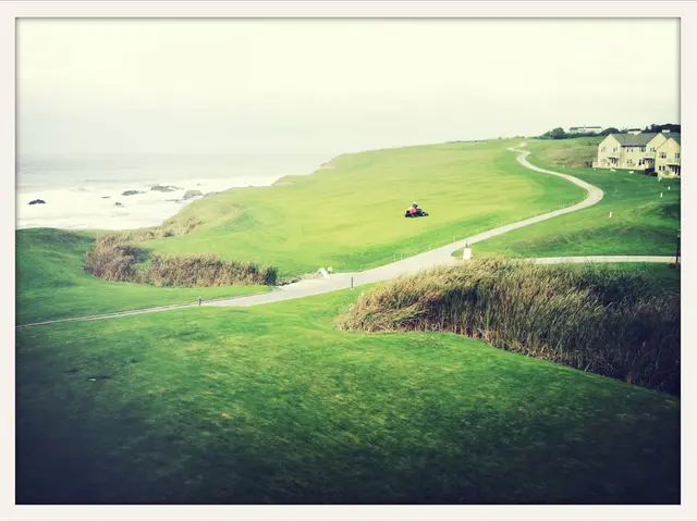 Mastering Russian Thistle: Explore Strategies for Tumbleweed Management