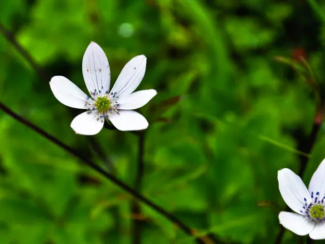 Vonovia acknowledges dedication towards thriving communities