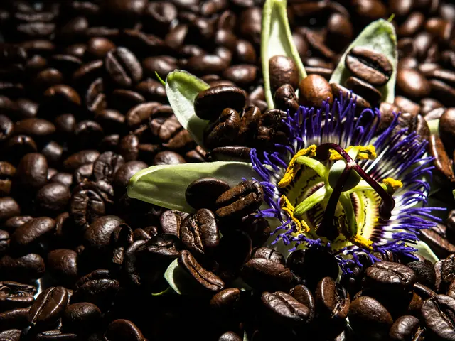 Utilizing Coffee Grounds in Flower Bed Cultivation and Organic Waste Management