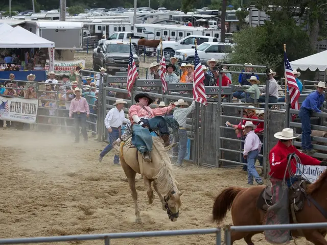Gather and rejoice: Spectacular fireworks scheduled near Altenbeken during the first week of May