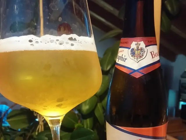 Steel Oasis proclaims: Spring's arrival is imminent, according to its statement.