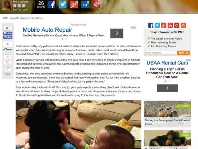 Introducing a Fresh kids-friendly Streaming Platform by Scholastic for Families