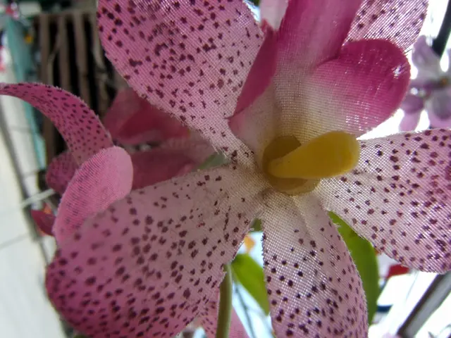 Top 30 Orchid Drawing Inspiration You Must Explore