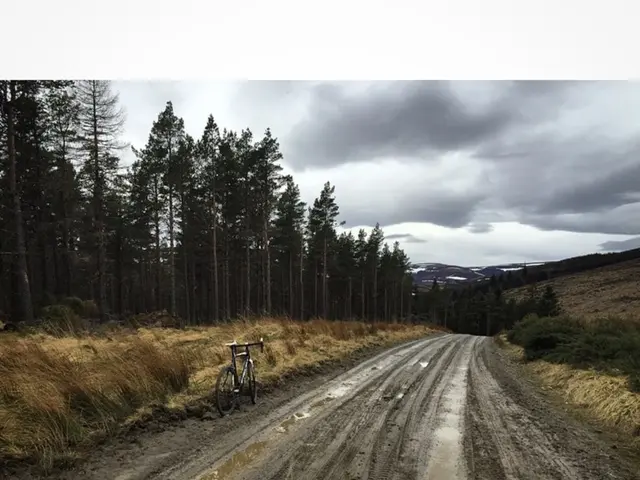 The coastline is currently inaccessible due to the presence of mud.