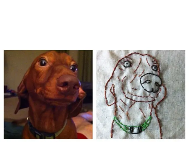 Opening Date Set for Big Woof Pet Boutique and Spa in Lafayette Confirmed