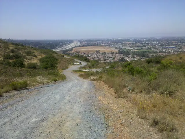 Vegetated Pathways Traversing Gronau
