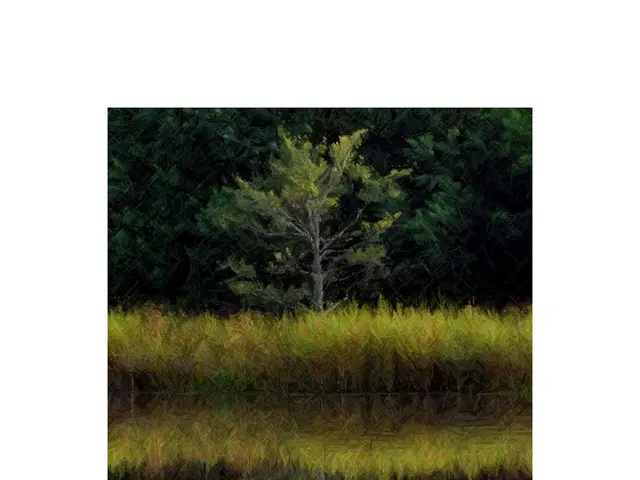 Anticipating 2025's Planting Season