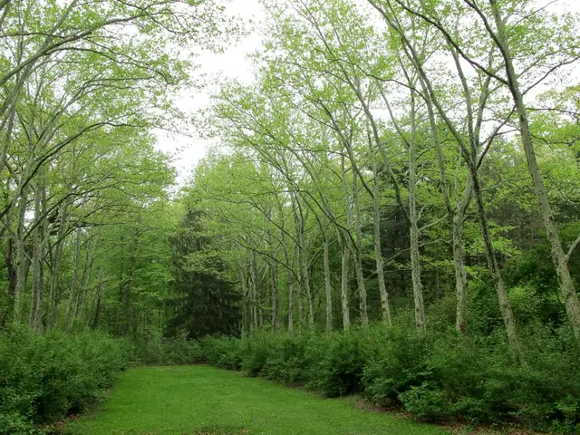 Organic Farming's Effect on the Environment