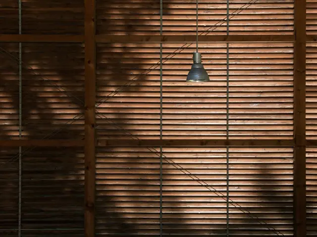 Upgrade your home's appeal with fashionable wooden blinds, a stylish transformation for your living...