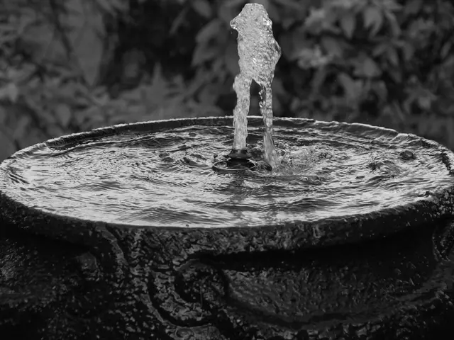 Cost-effective Investment for Pet Health: Luxurious Item Worth $20 Today Boosts Your Pet's...