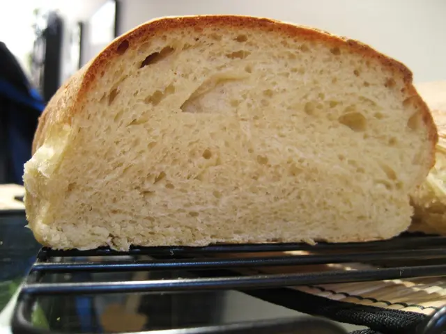 Innovative Approaches to Sustainable Equipment Production in the Baking Industry