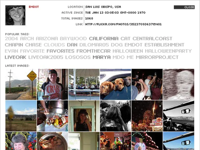 Investigating Aesthetics: Categories, Guidelines, and Emerging Styles in Design