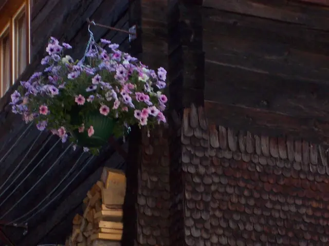 Schloss Lerbach's park remains shut to the public