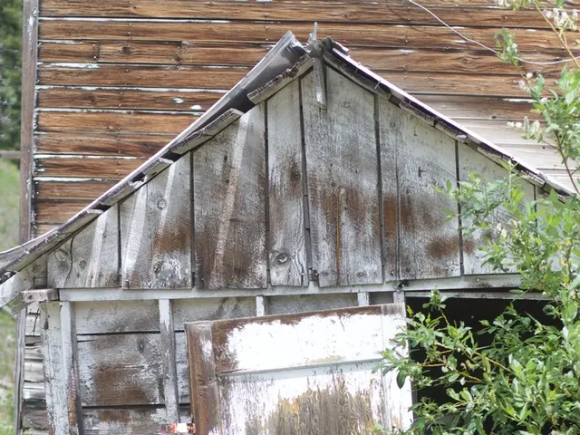 Revolutionized 200-year-old mill competes for Scotland's prestigious Home of the Year award.