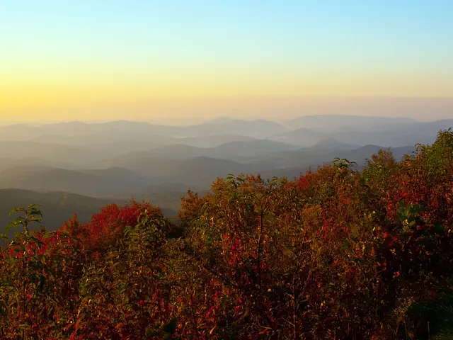 This is the picture of a place where we have some mountains, trees, plants and some flowers to the...