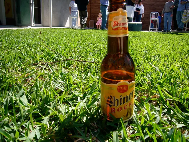 There is a beer bottle on a grass. The name is labelled as "shiner bock" on it. There are some...