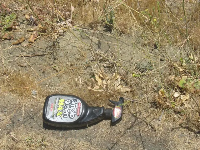 In this image there are plants, there is dried grass, there is soil, there is a bottle on the...