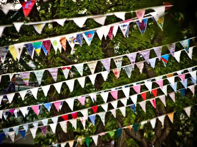 These are the paper decoration items and these are the trees behind them.